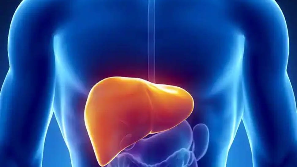Fatty Liver Disease: लिवर को सबसे ज्यादा नुकसान पहुंचाती हैं आपकी ये आदतें, बढ़ जाएगा इस बात का खतरा