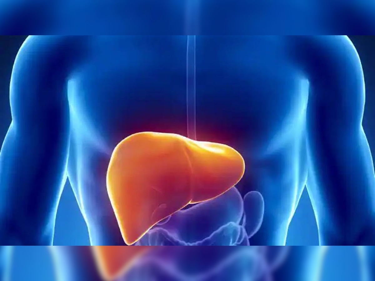 Fatty Liver Disease: लिवर को सबसे ज्यादा नुकसान पहुंचाती हैं आपकी ये आदतें, बढ़ जाएगा इस बात का खतरा