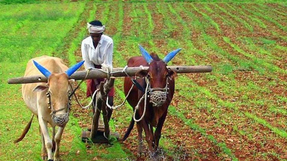 किसानों के लिए खुशखबरी! इस दिन आएगी PM Kisan योजना की 10वीं किस्त, रजिस्ट्रेशन से पहले जरूर जान लें ये बातें