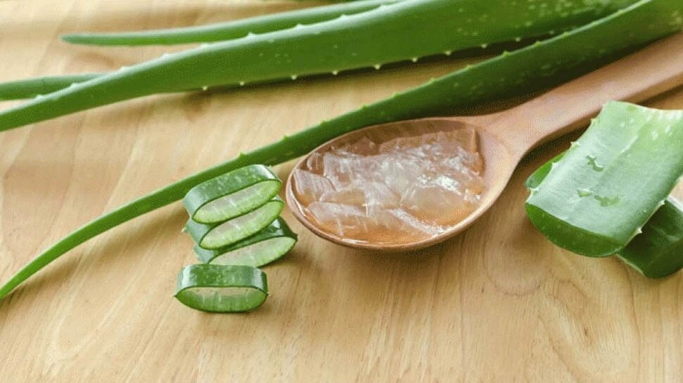 Side Effects of Aloe Vera: इन बीमारियों में भूलकर भी न करें एलोवेरा का सेवन, जानलेवा हो सकता है असर