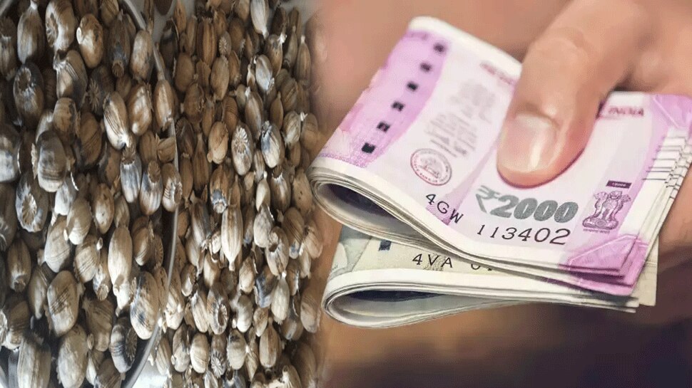 Rajasthan की दो विधानसभा सीटों पर उप चुनाव, सख्ती के चलते अब तक 39 लाख से ज्यादा की जब्ती
