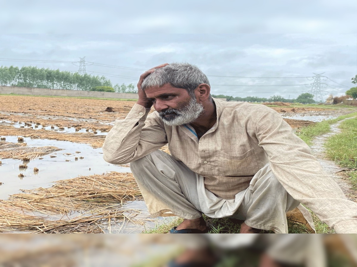 प्रतीकात्मक तस्वीर