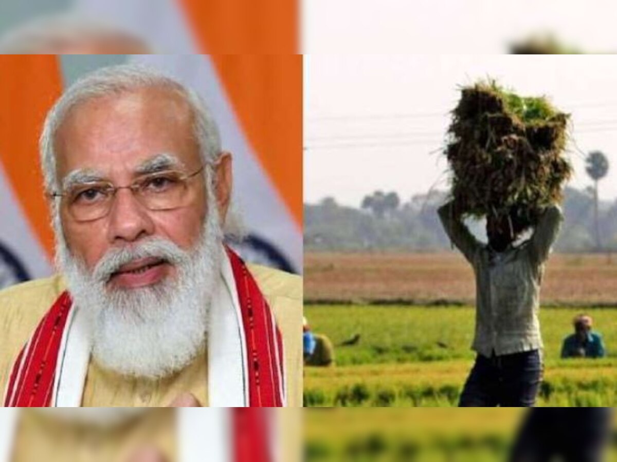 PM Kisan Yojna: किसान 31 अक्टूबर तक जरूर कर लें ये काम तो खाते में आएगी दोगुनी 4000 किस्त