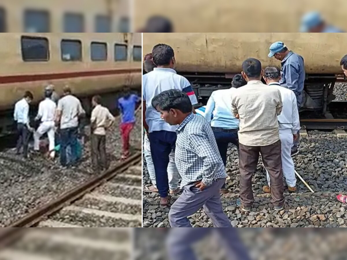 पटना-इंदौर एक्सप्रेस से टकराने से 5 भैसों की मौत, बेल्ट जाम होने से 30 मिनट तक रुकी रही ट्रेन