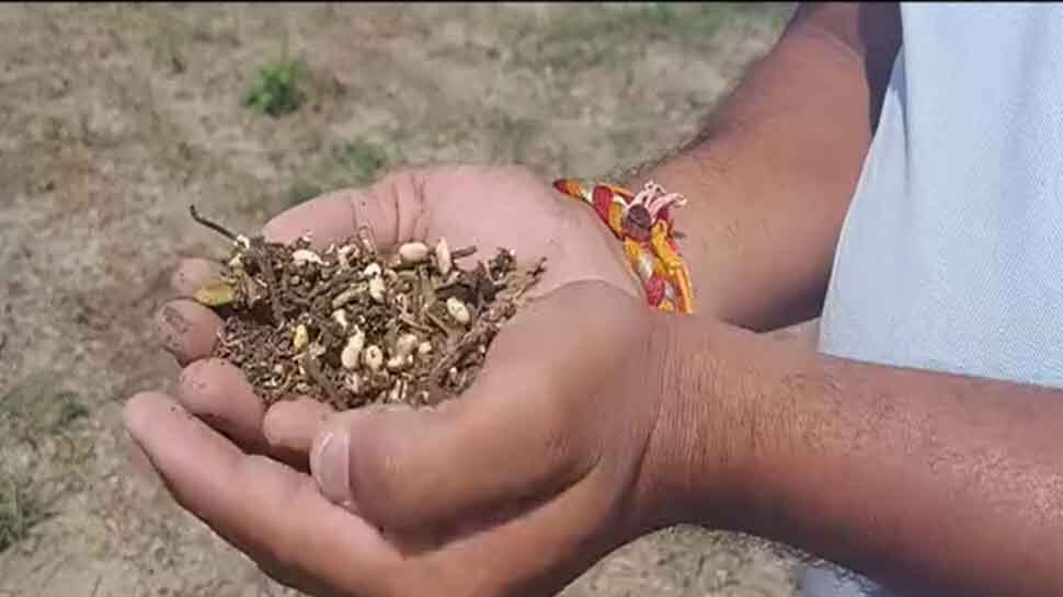 बेमौसम बारिश से किसान परेशानः सोयाबीन, मटर, प्याज, लहसुन की फसलें हुई खराब, हुआ भारी नुकसान