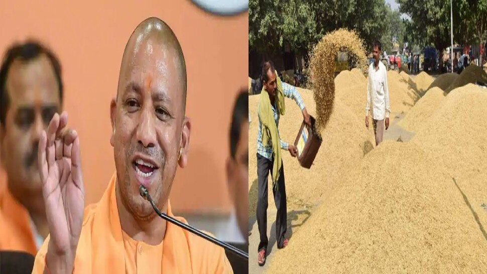 योगी सरकार ने अन्नदाताओं को दी बड़ी राहत, अब 100 क्विंटल तक बिना सत्यापन के धान बेच सकेंगे किसान