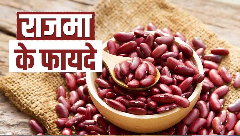 Structure Rajma many health benefits of eating rajma know here how to eat rajma rajma ...
