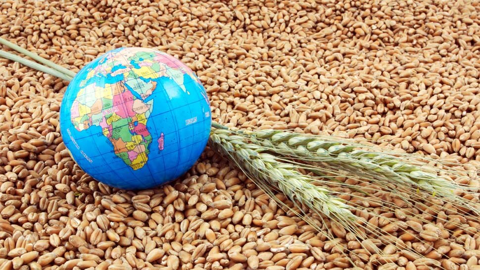 Global Food Security index 2021: खाद्य सुरक्षा में इन गरीब और लाचार मुल्कों से भी पीछे है अपना देश
