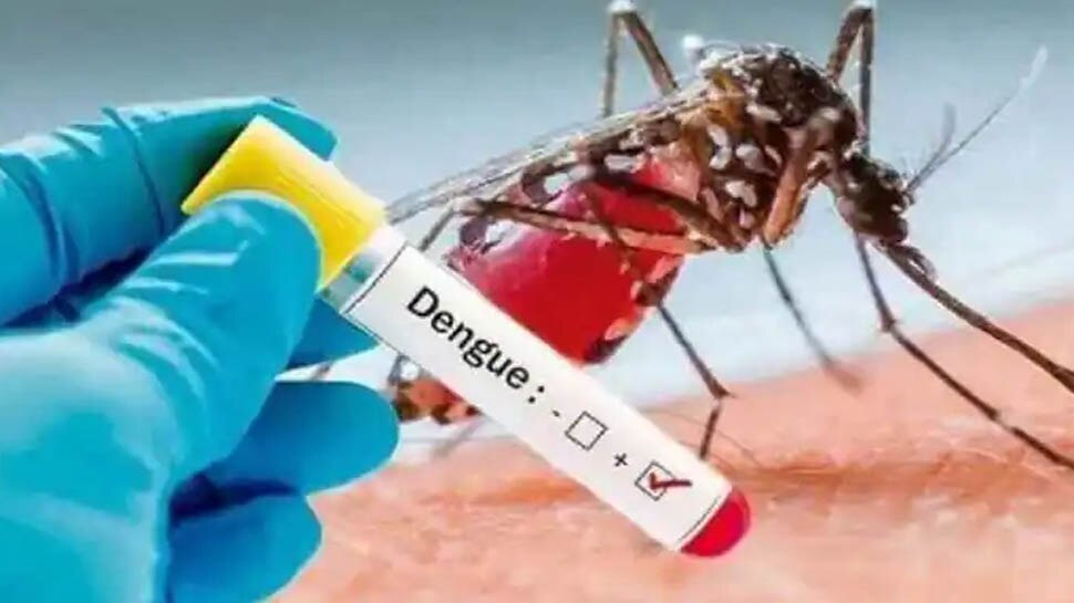 Dengue Fever: मिल गई हड्डीतोड़ बुखार डेंगू की दवा, देश की इन 20 जगहों पर होगा ट्रायल