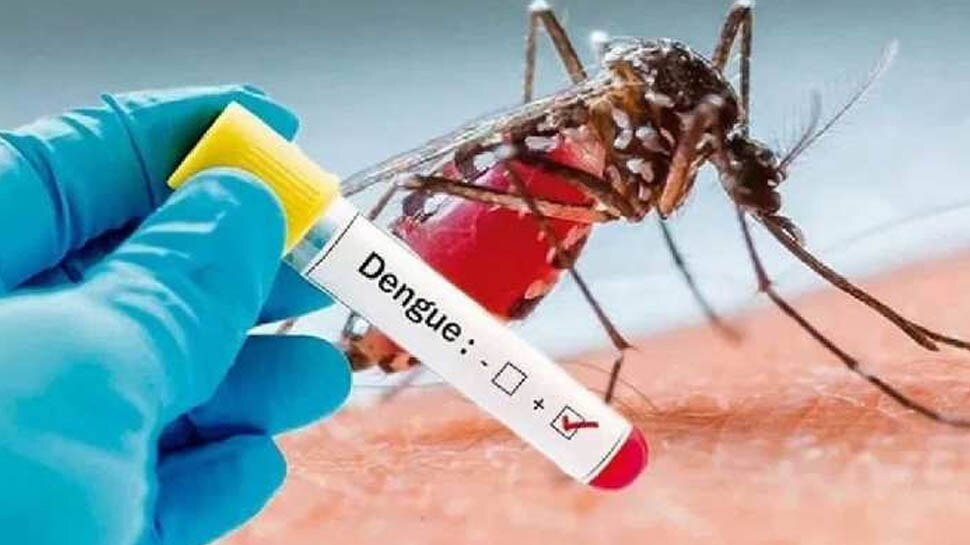 Dengue Fever: डेंगू होने पर कैसे हों तेजी से रिकवर, जानें इस बीमारी को दूर भगाने का कारगर उपाय