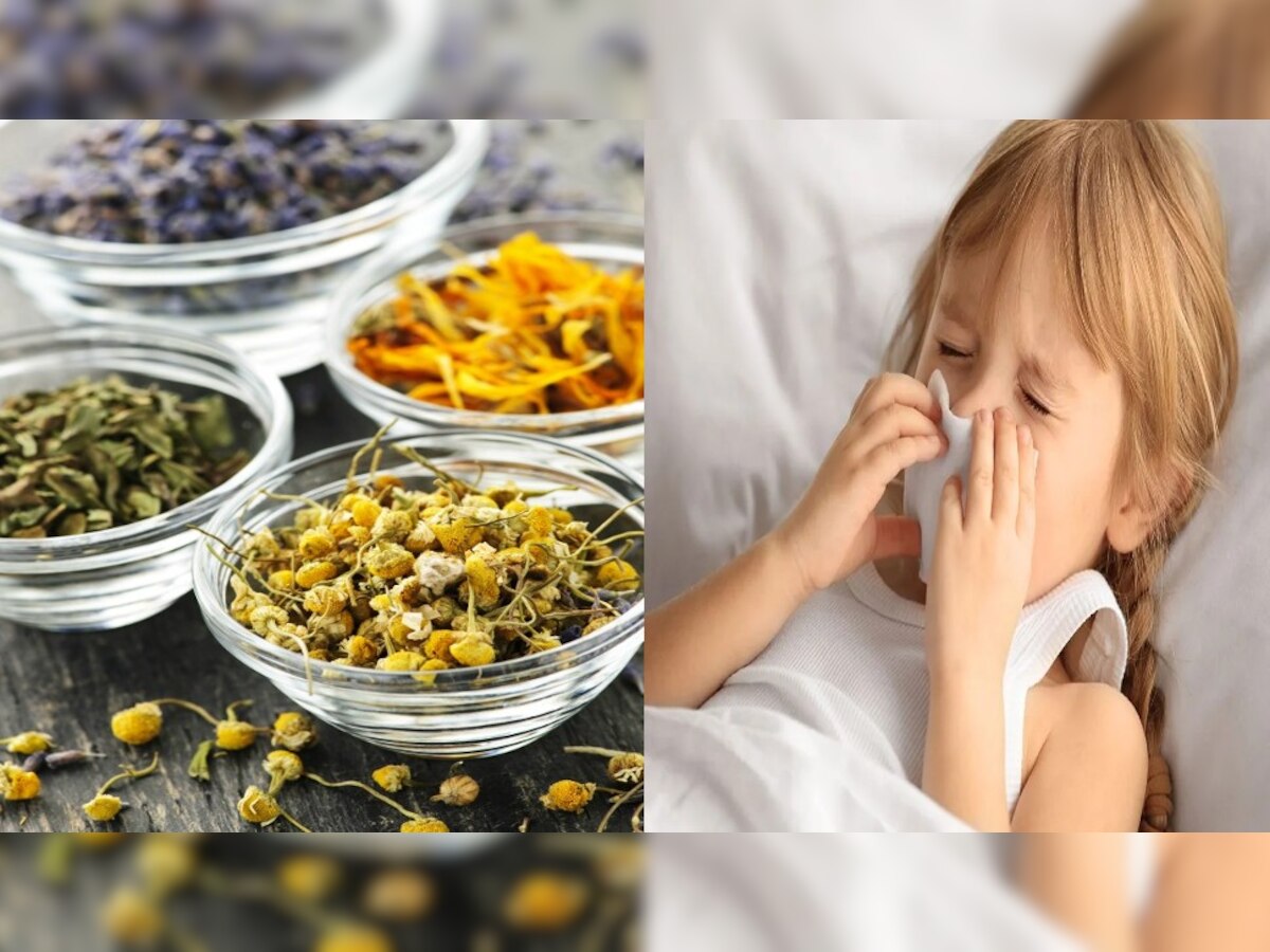 Beneficial herbs for kids