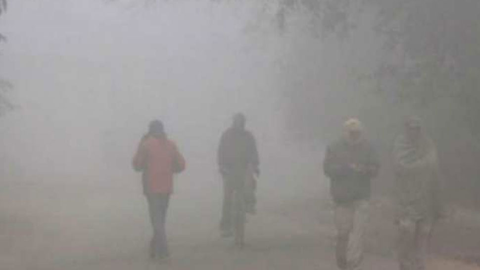 MP Weather:मध्य प्रदेश में गुलाबी ठंड की दस्तक, कोहरा पड़ने से सर्द हुई रातें