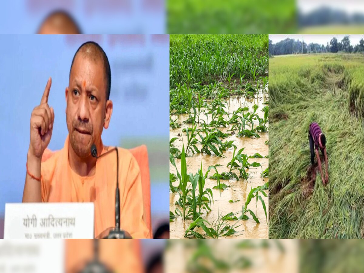 किसानों के जख्म पर सरकार का मरहम: 35 जिलों के चिन्हित किसानों को मिलेगा मुआवजा, योगी सरकार ने जारी किए 77.88 करोड़ रुपये