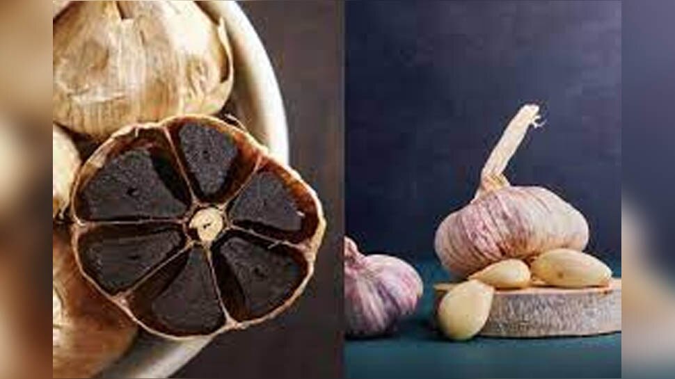 Black Garlic Benefits: क्या होता है काला लहसुन? ये फायदे जानकर आप भी खाने से ना नहीं कहेंगे
