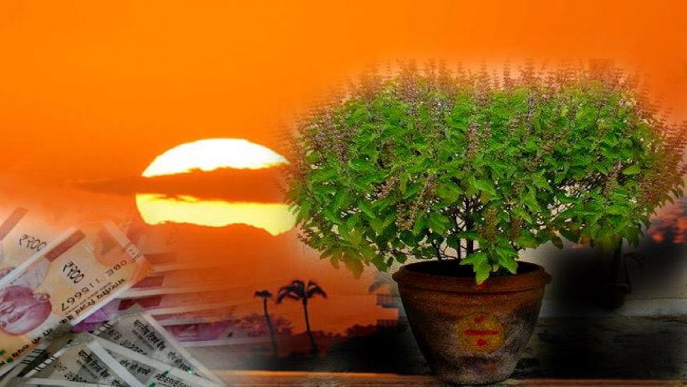 15000 रुपये की लागत पर होगा 3 लाख का मुनाफा