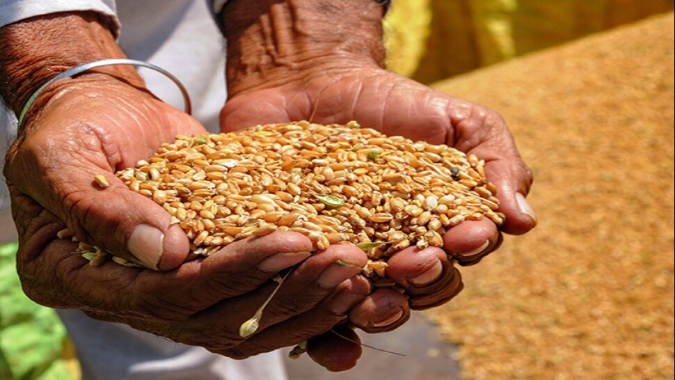 Ration: राशन कार्ड वालों को फ्री अनाज के साथ अब Free मिलेगा दाल, तेल और नमक! जानें सरकार का प्लान