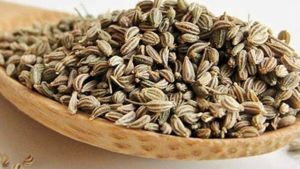 few ways ajwain or carom seeds can help you lose weight easily जल्दी