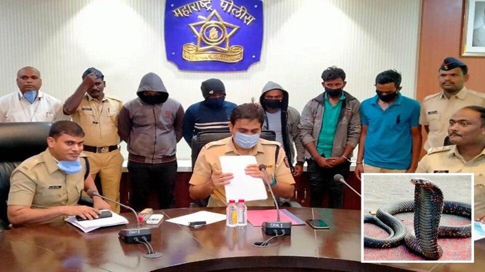 बीमा की रकम पाने के लिए इस शख्स ने रची ऐसी कहानी, सुनकर आप भी रह जाएंगे दंग