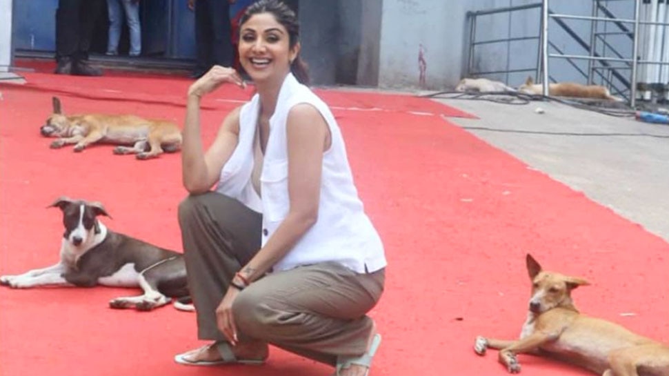 Shilpa Shetty ने कुत्तों के बीच बैठकर कराया फोटोशूट, पापाराजी ने बताया 'लॉयल फॉलोअर'
