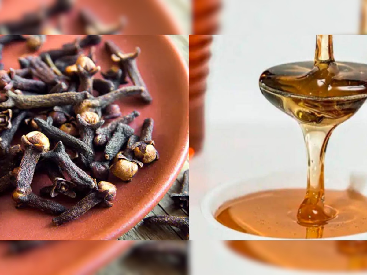 Honey and Clove Benefits: शहद के साथ मिलाकर खाएं बस थोड़ी सी लौंग, मिलेंगे ये फायदे