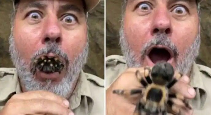 शख्स के मुंह से निकली विशाल मकड़ी, वीडियो देखकर डर जाएंगे आप