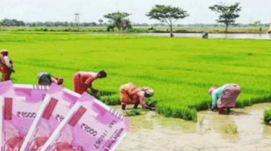 PM Kisan Yojana: 10वीं किस्त के लिए बस इतना इंतजार, आएंगे 2000 रुपये