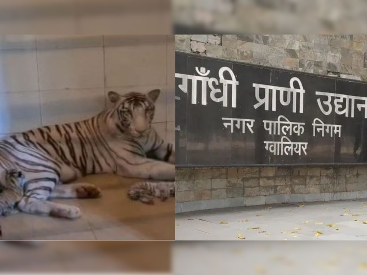 Gwalior के गांधी प्राणी उद्यान की अनोखी पहल