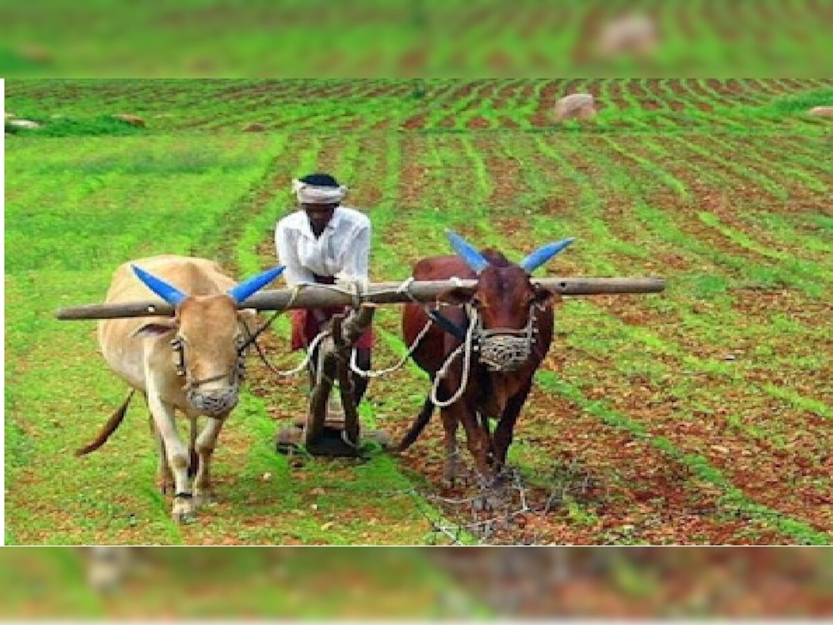 PM Kisan Samman Nidhi: पंजीकरण के लिए इस कार्ड का होना जरूरी, यह है रजिस्ट्रेशन प्रोसेस