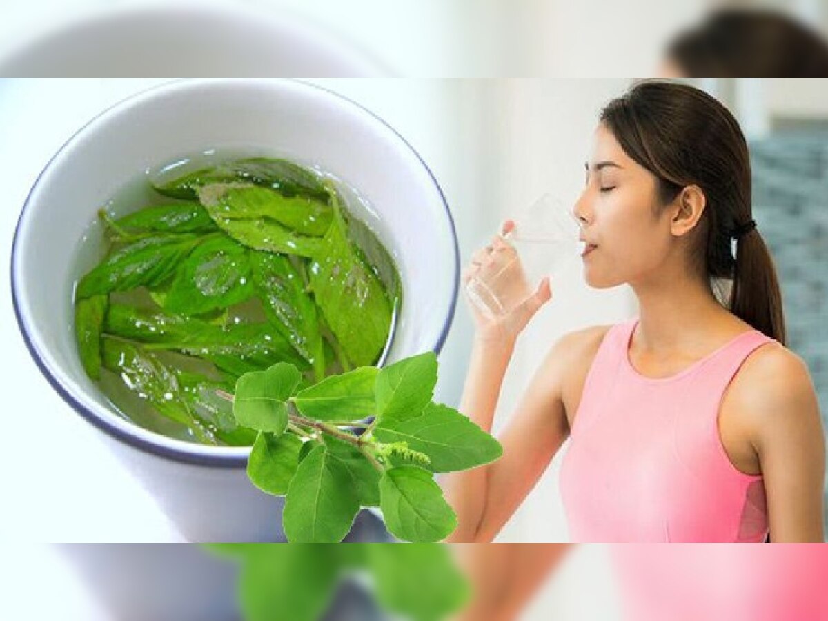 Benefits of drinking Tulsi water