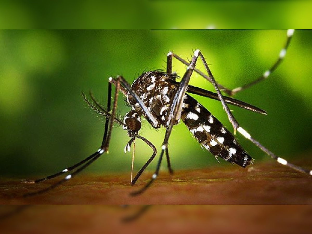 Zika Virus: कानपुर के बाद अब कन्नौज में जीका वायरस का एक केस मिला, 80 हुआ संक्रमितों का आंकड़ा