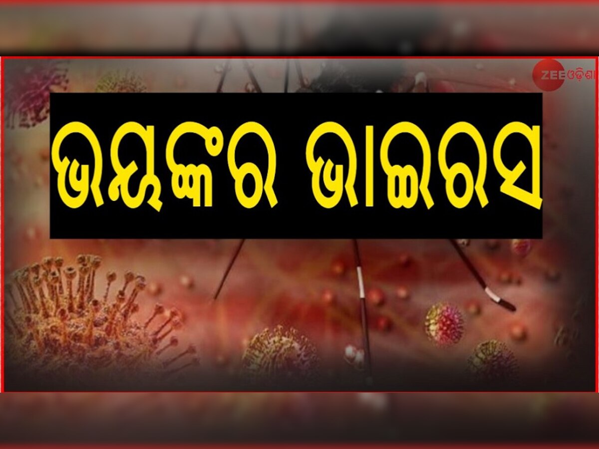 କୋରୋନା ପରେ ଭାରତରେ ଏବେ ନୂଆ ଭାଇରସର ଆତଙ୍କ: ଜାଣନ୍ତୁ ଲକ୍ଷଣ 