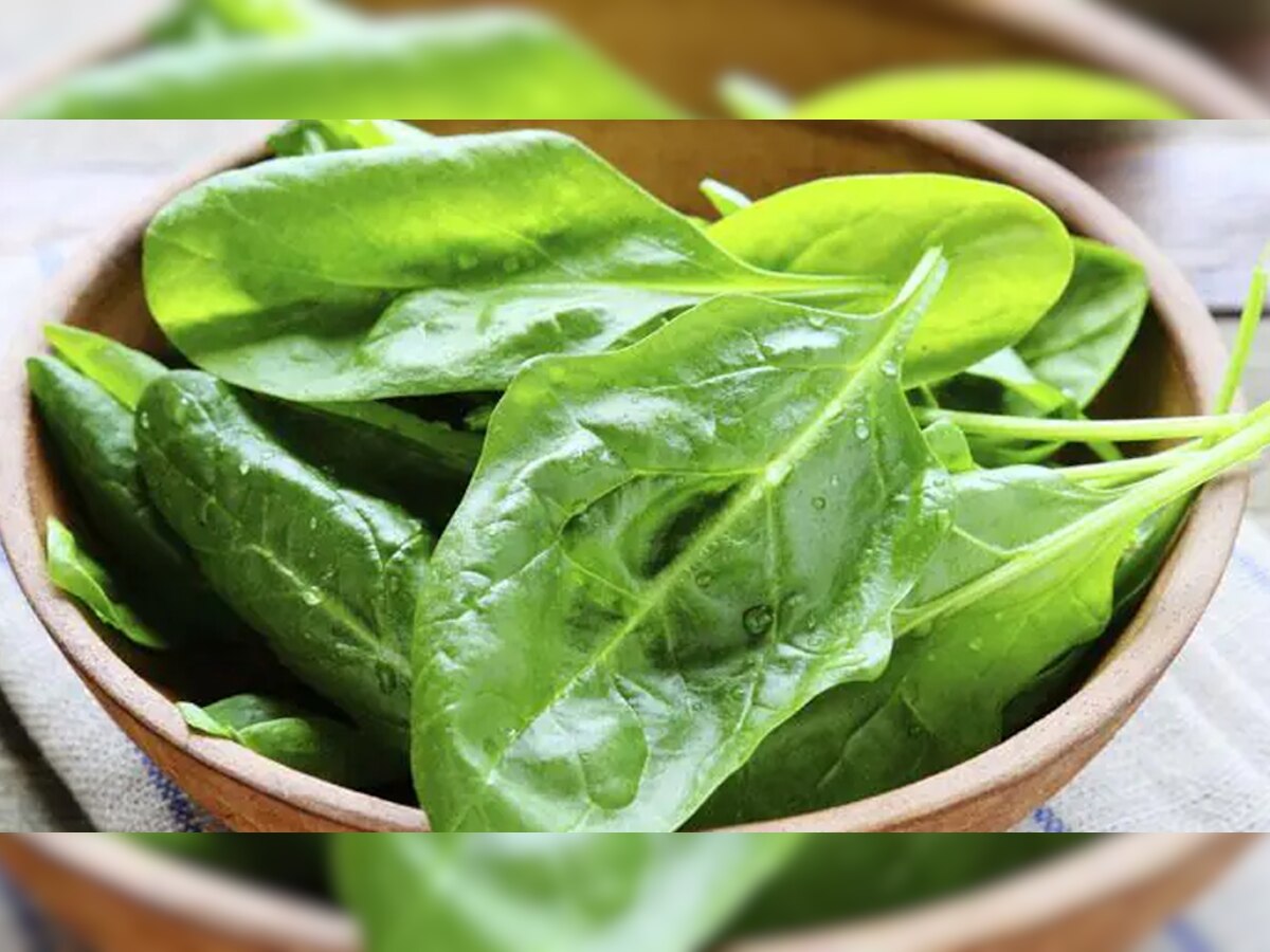Spinach Side Effects: क्या आप भी रोज खाते हैं पालक? जानें क्या होता है इसका असर