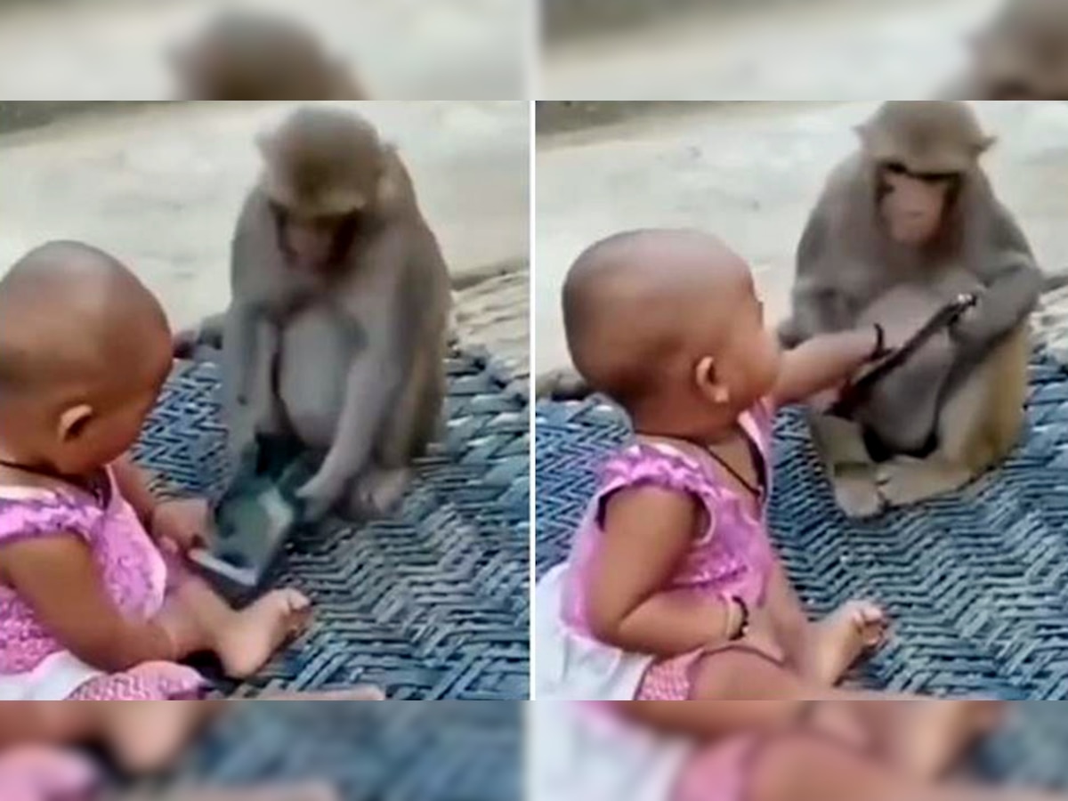 Viral Video: मोबाइल से खेल रही बच्ची से झगड़ पड़ा ये Naughty बंदर, फिर हुआ ये मजेदार वाकया