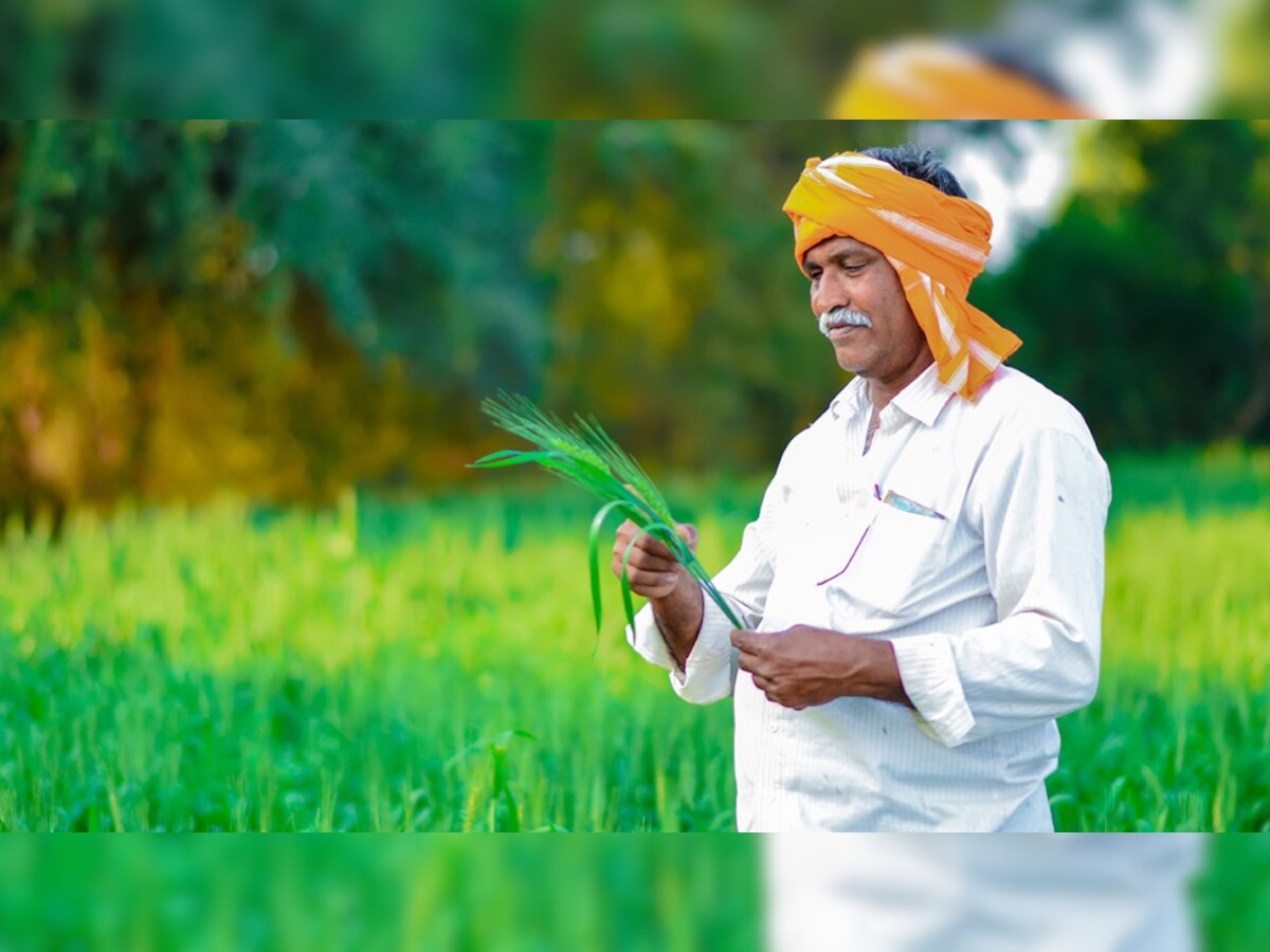 प्रतीकात्मक फोटो 