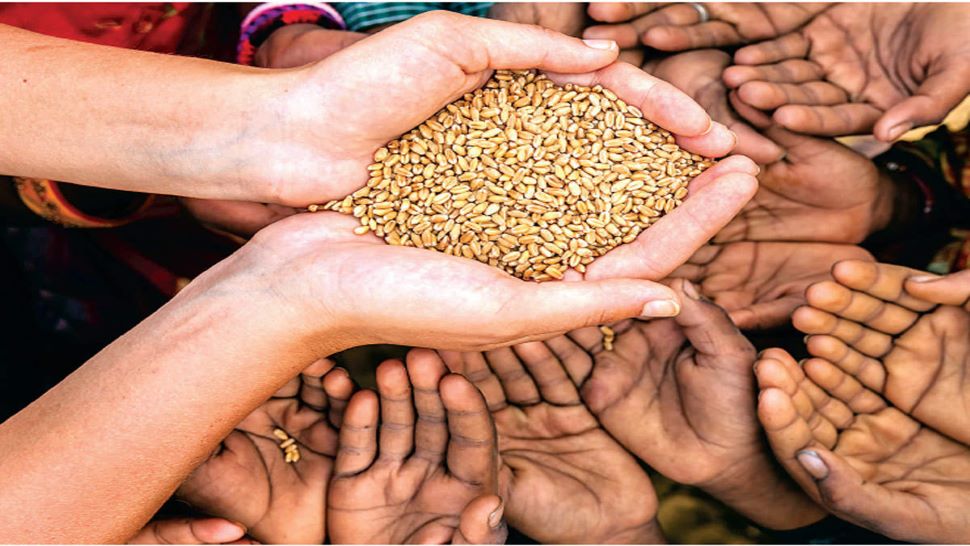 Ration Card होल्डर्स के लिए अच्छी खबर! शुरू हुई ये नई सुविधा, जानिए आपको कैसे मिलेगा फायदा