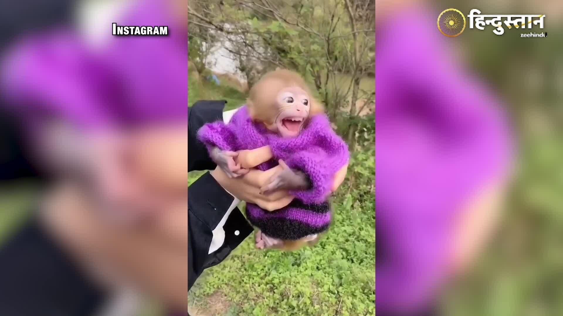 man-tries-to-take-baby-money-away-from-lady-monkey-started-crying-see