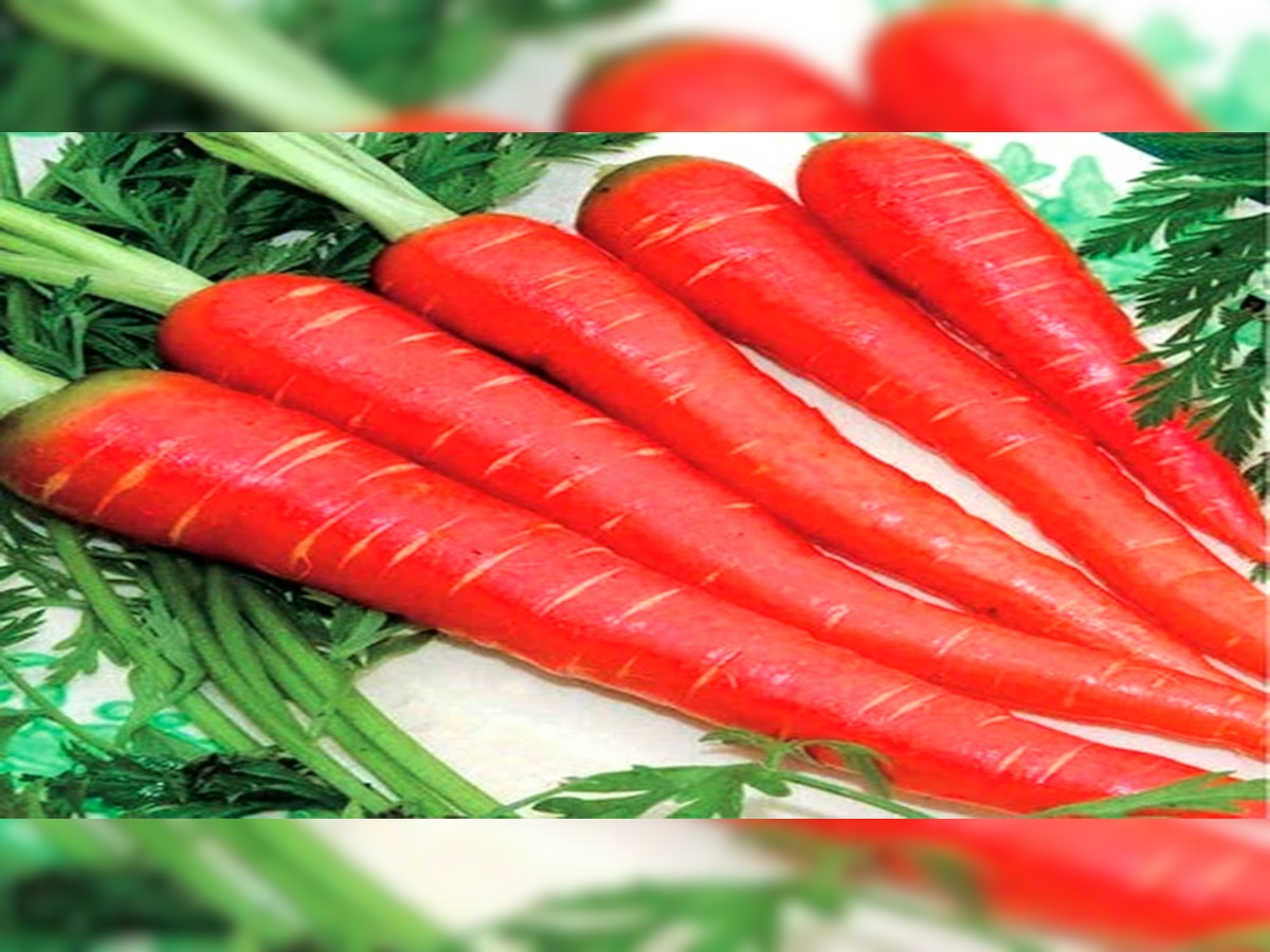 Benefits of Carrot: गाजर के फायदे आपको कर देंगे हैरान; इन चीजों में है काफी फायदेमंद