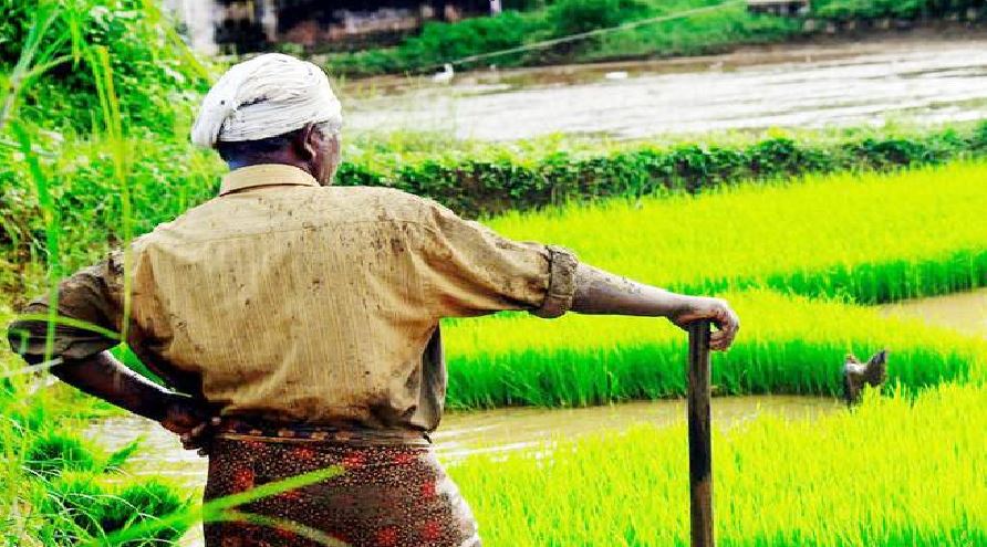 बेहद कम ब्याज पर 3 लाख रुपये तक का लोन ले सकते हैं किसान, जानिए कैसे करें अप्लाई