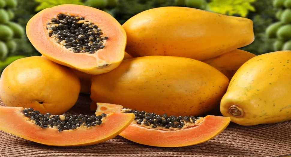 Benefits of Papaya: इन चीज़ों के खिलाफ़ ब्रह्मास्त्र है पपीता; जानें फायदे Benefits of Papaya: इन चीज़ों के खिलाफ़ ब्रह्मास्त्र है पपीता; जानें फायदे