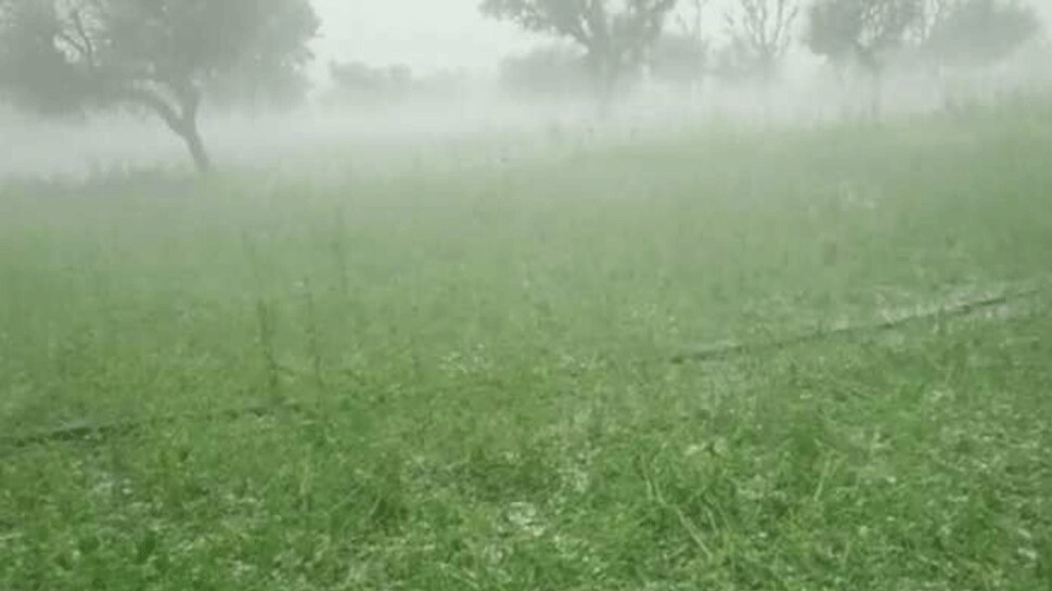 Rajasthan Weather Update: प्रदेश के 4 संभाग में मावठ की बारिश, तापमान में जबरदस्त गिरावट