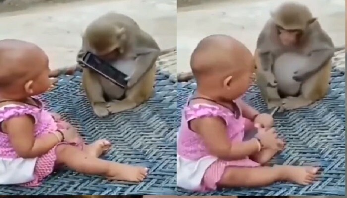 Video: बच्चे से मोबाइल छीनकर खेलने लगा बंदर, क्यूट वीडियो देख खुश हो रहे हैं लोग