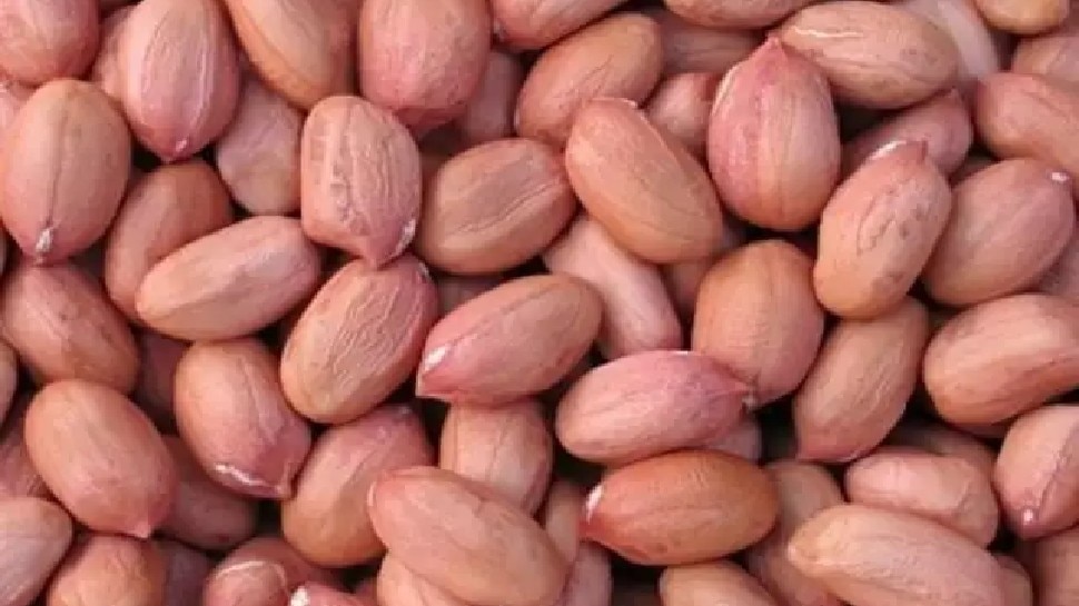 Benefits of peanuts: जानिए क्यों 'गरीबों का बादाम' कहलाती है मूंगफली, इस तरह सेवन करने पर मिलते हैं ये कमाल के फायदे...