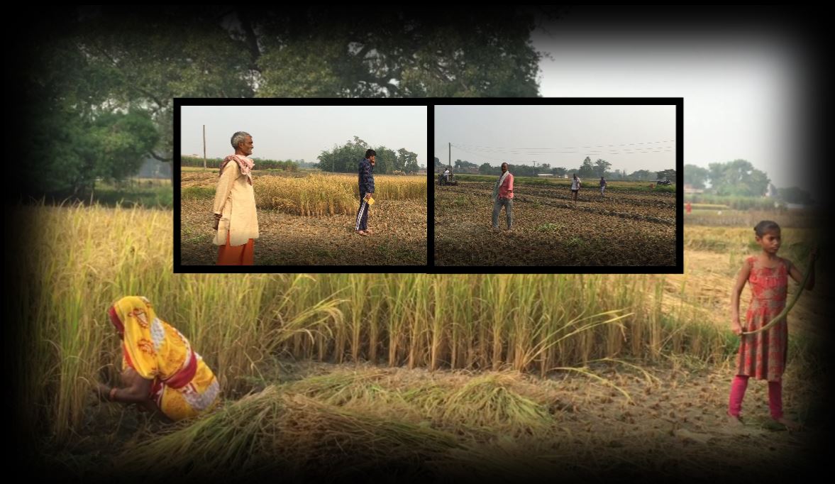 क्या कहते हैं गांव के किसान? 2022 में यूपी में किसकी बनेगी सरकार