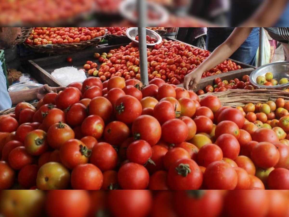 प्रतीकात्मक फोटो | साभार- PTI