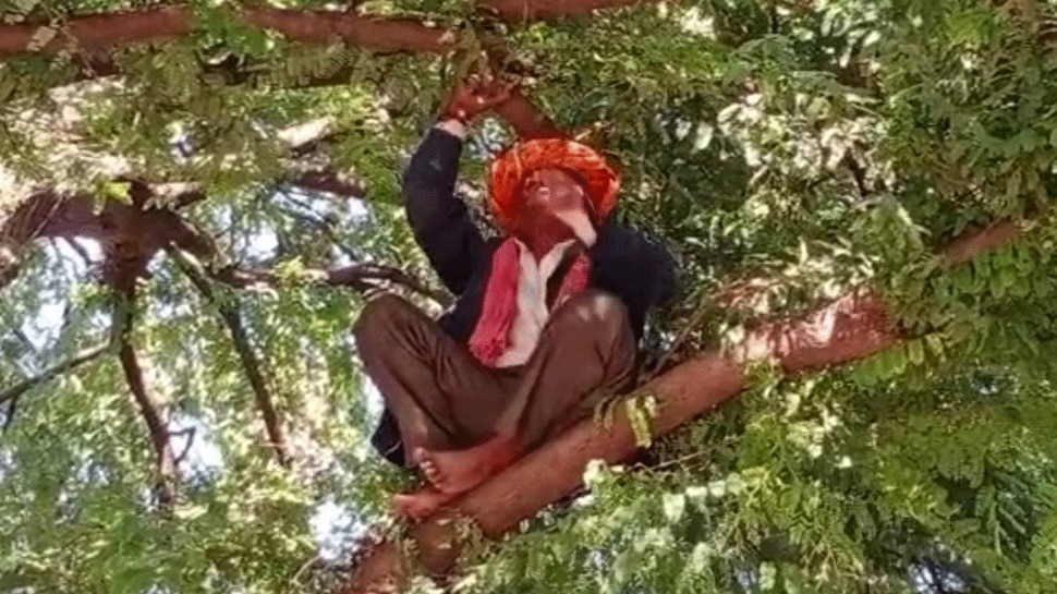 झालावाड़- खाद की कालाबाजारी से नाराज किसान नेता पेड़ पर चढ़ा, नारेबाजी कर किया प्रदर्शन