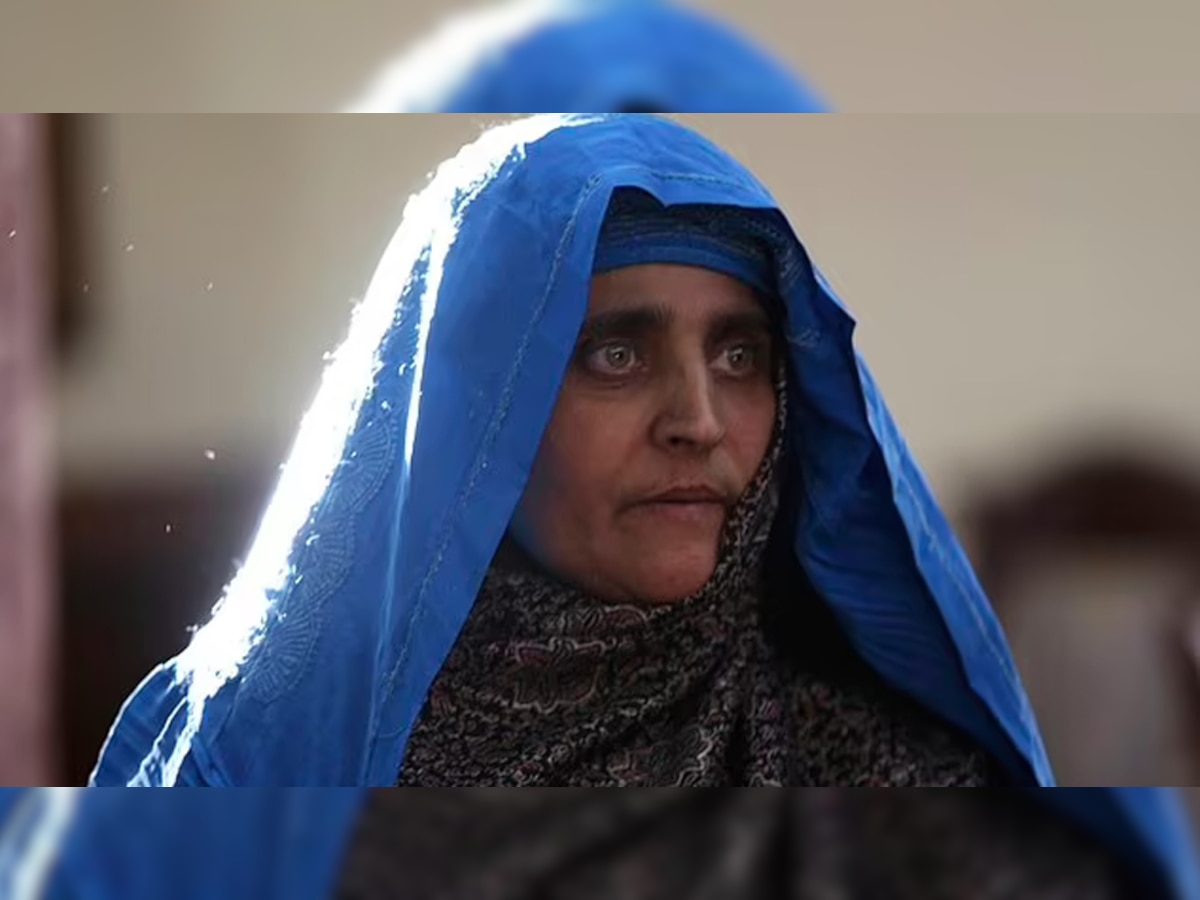 Afghan Girl Sharbat Gula With The Green Eyes From Iconic 1985 National Geographic Cover Is Given 