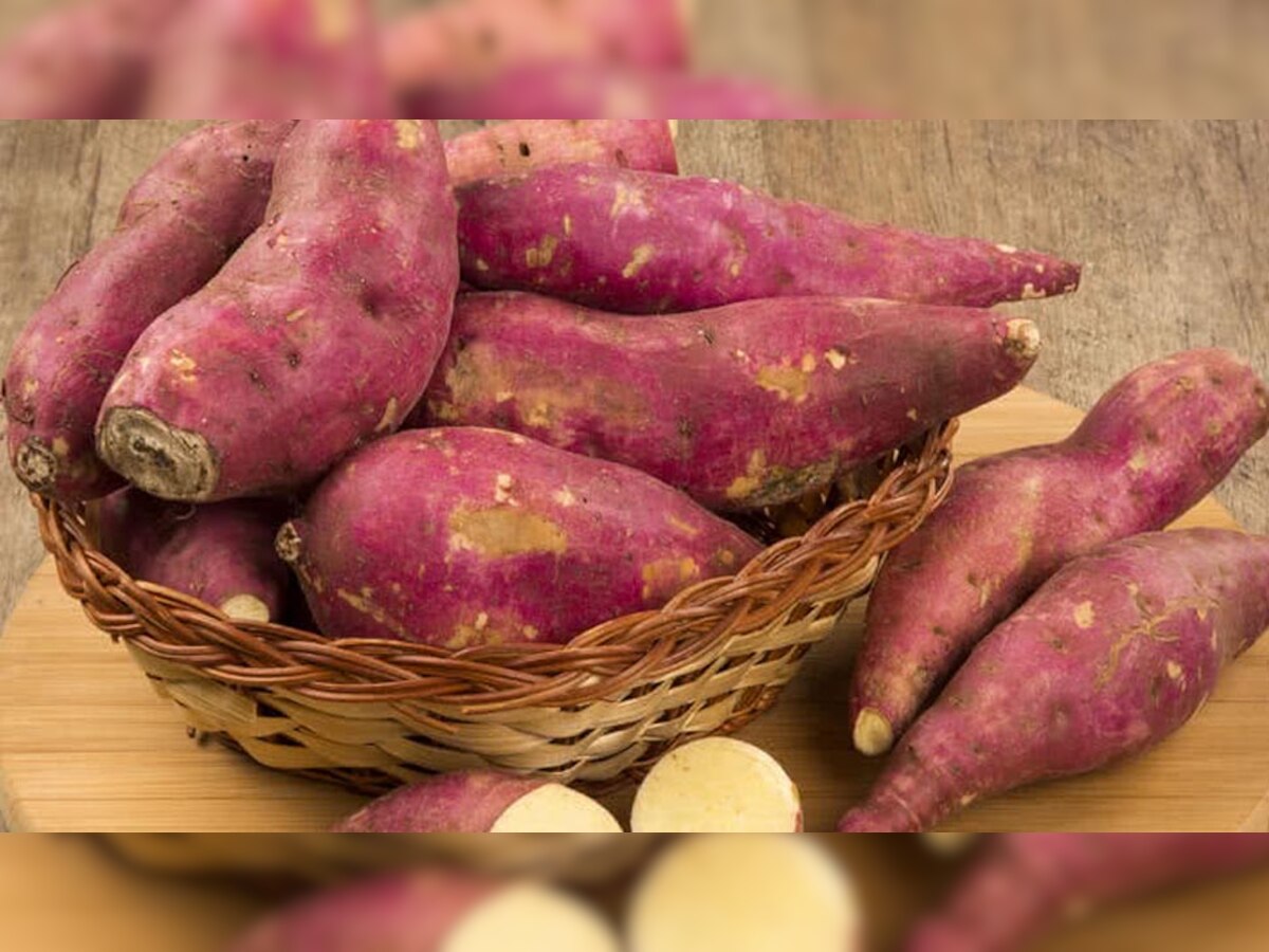 Sweet Potatoes Benefits: सर्दियों में सेहत के लिए वरदान है शकरकंद, रोज खाने से मिलेंगे ये 7 गजब के फायदे