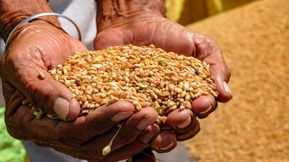 Ration Card धारकों के लिए सरकार की नई पहल, घर बैठे मिलेंगी ये सुविधाएँ Ration Card धारकों के लिए सरकार की नई पहल, घर बैठे मिलेंगी ये सुविधाएँ