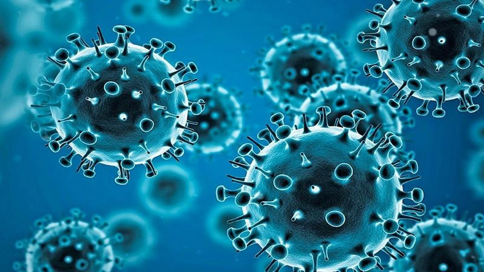 अफ्रीका में Coronavirus के सामने आए रिकॉर्ड तोड़ मामले; भारत के लिए भी खतरा? अफ्रीका में Coronavirus के सामने आए रिकॉर्ड तोड़ मामले; भारत के लिए भी खतरा?