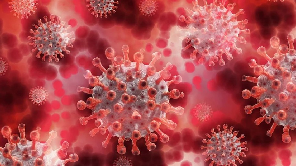 कोरोना के नए वैरिएंट की भारत में एंट्री, पहली बार Omicron के मिले 2 केस कोरोना के नए वैरिएंट की भारत में एंट्री, पहली बार Omicron के मिले 2 केस